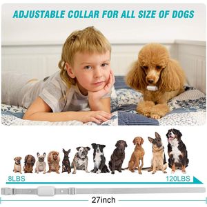 Collar de Adiestramiento Eléctrico Recargable e Impermeable Bousnic para Perros Pequeños, Medianos y Grandes con Niveles de Choque Personalizables y Control Remoto - Product Image 5