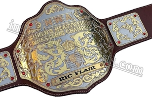 Găng tay đấm bốc Túi đặt danh hiệu Đai đấu vật vô địch Hạng Nặng Thế Giới vàng lớn nwa - Product Image 4