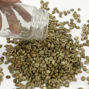 Granos de café Robusta tostados de alta calidad Origen de Vietnam Acidez equilibrada aromática verde - Product Image 4