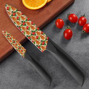Cuchillos de Cerámica con Mango de Plástico, Aptos para Lavavajillas, Duraderos, para Supervivencia al Aire Libre, Suministro al por Mayor, Envío Gratuito - Product Image 1