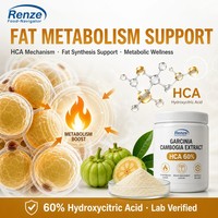 Extrait de Garcinia Cambogia HCA 60% en poudre, extrait de peau de fruit pour la gestion du poids