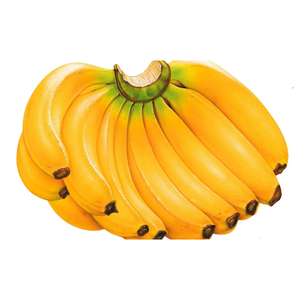 Plátano semimaduro, fruta fresca y firme de color amarillo para distribución al por mayor, envasado minorista y envíos de exportación - Product Image 2
