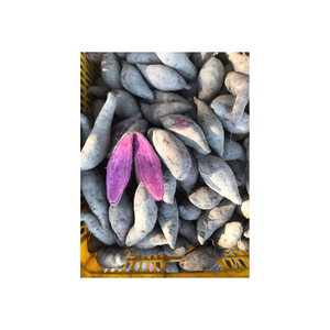 Patate douce congelée du Viet Nam Concentration crémeuse Prêt à chauffer et à servir pour les services de traiteur - Product Image 3