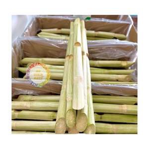 Vente en gros de canne à sucre congelée fraîche Peel/unpeel bâton de canne à sucre pour jus froid fabriqué au Vietnam - Product Image 6