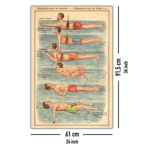 Friedrich Eduard Bilz's Swimming <b>Poster</b> Durable Paper Design for Wall Display - Product Image 5