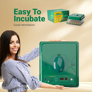 Incubatrice per Uova di Gallina ad Alta Efficienza con Display Digitale, Controllo dell'Umidità, 36 Uova, ECO PROFI C-36 - Product Image 6