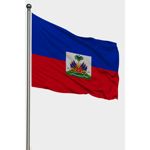 Drapeaux de voiture en aluminium imprimés numériquement sur mesure en nylon satiné ou polyester avec style fanion et logo personnalisé pour l'affichage - Product Image 1