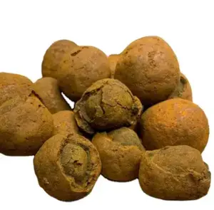 Premium Quality Ox Gallstones Sourced from Cattle Top-Grade Cow Gallstones for Traditional Medicine