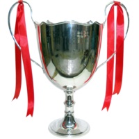 Trophée sportif moderne classique en métal argenté de haute qualité, gravé au laser, durable, avec logo personnalisé pour compétition, école, université