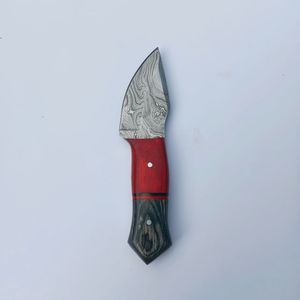 Magnifique couteau de chasse et de camping à lame fixe en acier Damas de haute qualité, personnalisé, avec manche en bois Pakka - Product Image 5