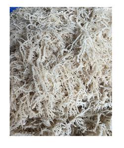 Fabricant d'ingrédients d'emballage de style algue Sea Moss Eucheuma Cottonii brut du Vietnam - Product Image 1