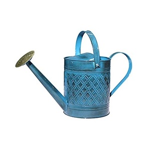 Metal Plain Metal Water Can Premium Quality Wholesale Luxury Can Best Selling Inexpensive Galvanized Water <b>Cane</b> - Product Image 2