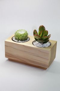 Maceta de madera de pueblo, maceta Wishing Well, decoración de jardín de patio trasero, macetas creativas de madera, macetas de flores de corteza de abeto, jardín - Product Image 4