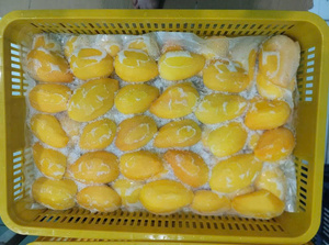 Mangue congelée aromatique sucrée adaptée aux écoles culinaires et aux restaurants fins préparant des plats exotiques - Product Image 3