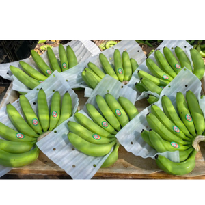 Vietnam Cavendish Bananes avec taille uniforme de haute qualité Grande saveur Parfait pour la vente au détail et en gros - Product Image 5
