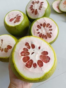 Pomelo Rosa Fresco al por Mayor de Vietnam para Exportación a Supermercados y Distribuidores de Frutas con Pulpa Dulce y Jugosa - Product Image 2