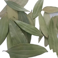 Hoja de Laurel Seca, Ingredientes Alimentarios Naturales, Sin Pesticidas, a Granel, de la Industria Alimentaria de la India, Condimento, Almacenamiento en Seco y Fresco, Larga Duración
