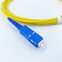SC APC à SC APC 3 mètres G657A2 2.0mm PVC Long Boot Fiber Optic Patch Cord