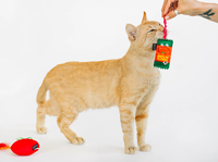 Set Mainan Kucing Bertema Makanan Tomat, Mainan Kucing Berbahan Plush dengan Bulu & Pita Berkerut, Mainan Kunyah Interaktif