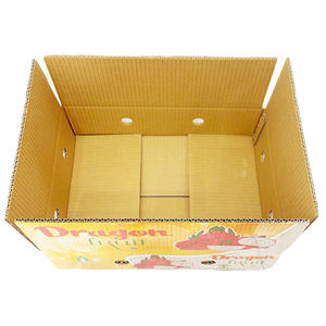 Caja de cartón de papel corrugado con etiquetas personalizadas reciclables ecológicas de lujo al por mayor para Harina de alimentación de fruta de dragón fresca - Product Image 5