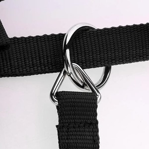 Adjustable Nylon Webbing Equestrian Western Horse <b>Halter</b> <b>Rope</b> Bridles with Customizable Size/Color/Logo Durable for Horse Riding - Product Image 4