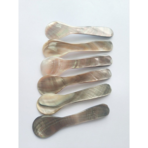 Cuillère en nacre de haute qualité: Offre Spéciale d'artisanat de coquillage et de conque de luxe, en gros, réutilisable, écologique 2025 - Product Image 3