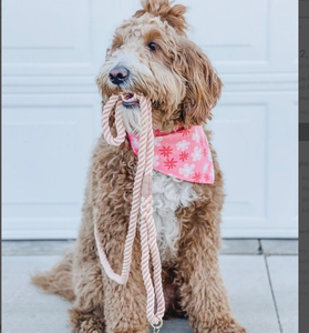 Peach Color Mint Green Rope Lead Customized Colored Cotton Rope Handmade <b>Dog</b> <b>Leash</b> Pet <b>Leash</b> Set - Product Image 3