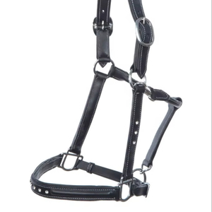 Standard Quality Leather <b>Halter</b> with Rock Stone Brass Fitting Ready for Riding Factory Price Wholesale - Product Image 1