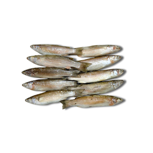 Mullet argenté rond entier congelé de haute qualité de l'usine du Vietnam Fruits de mer d'exportation Prix compétitifs OEM Support Emballage en vrac - Product Image 3