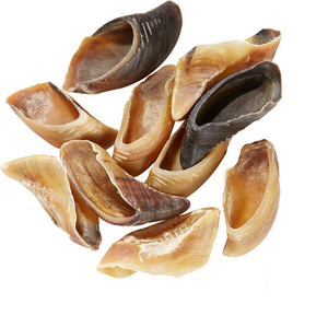 TIMELESS CRAFT - Cuerno de Búfalo Natural para Masticar, Alimento para Perros Hecho a Mano, Alto en Proteínas, Vitaminas y Minerales, Ecológico - Product Image 4