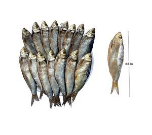 ARENQUE SECO - MARISCOS SECADOS NATURALMENTE, IDEAL PARA EL PROCESAMIENTO DE ALIMENTOS - Product Image 3