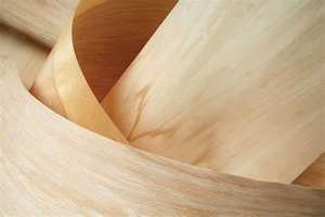 ¡Venta caliente! Hojas de chapa de eucalipto: duraderas, suaves y asequibles - Product Image 2