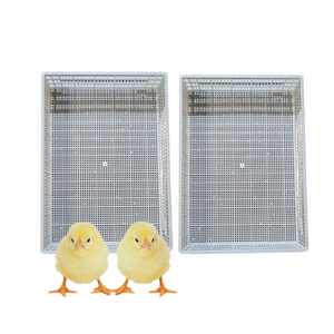Piso de listón de plástico para aves de corral Entrega rápida Nuevo diseño para personalización de equipos de aves de corral de pollo del fabricante de Vietnam - Product Image 1