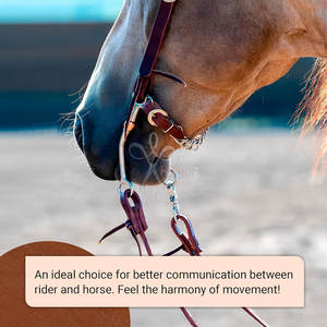 Bocado de Montura Western para Caballo, 5 Pulgadas, Cromado, de Acero Inoxidable Resistente al Óxido, Reutilizable, para Entrenamiento - HASHIR INTERNATIONAL - Product Image 6