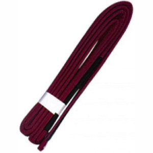 Ceinture de rangement pour le Jiu-Jitsu Brésilien (BJJ) professionnelle blanche avec deux bandes vert foncé - Product Image 4