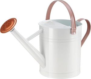 Perfect Pour Elegantes regaderas para sus plantas Nutre la naturaleza: regaderas esenciales para verduras saludables - Product Image 1