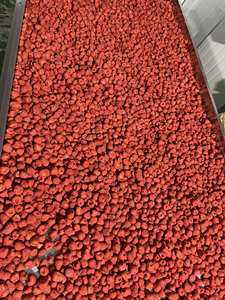 Fraises lyophilisées de qualité supérieure du Vietnam, fruits entiers, qualité d'exportation en vrac, collation, douceur naturelle, fraises lyophilisées - Product Image 6