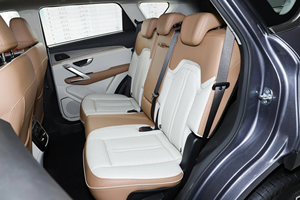 SUV hybride familial 2025-2026, nouveau véhicule électrique-hybride de luxe, design spacieux 7 places, voiture à énergie nouvelle à vendre - Product Image 5