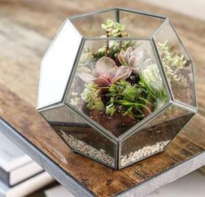 Hermoso Terrario de metal y vidrio hecho a mano para decoración de mesa de jardín de casa moderna exhibición de plantas para interiores y exteriores - Product Image 3