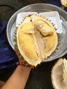 Semillas de Durian R6, producto a granel de Vietnam, Ms Sophie - Product Image 4