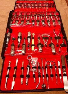 Kit d'instruments chirurgicaux dentaires manuels en métal de 74 pièces, élévateurs oraux et pinces pour une extraction efficace - Product Image 2