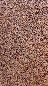 Frijoles Blancos Orgánicos de Primera Calidad en Paquete a Granel - Product Image 5