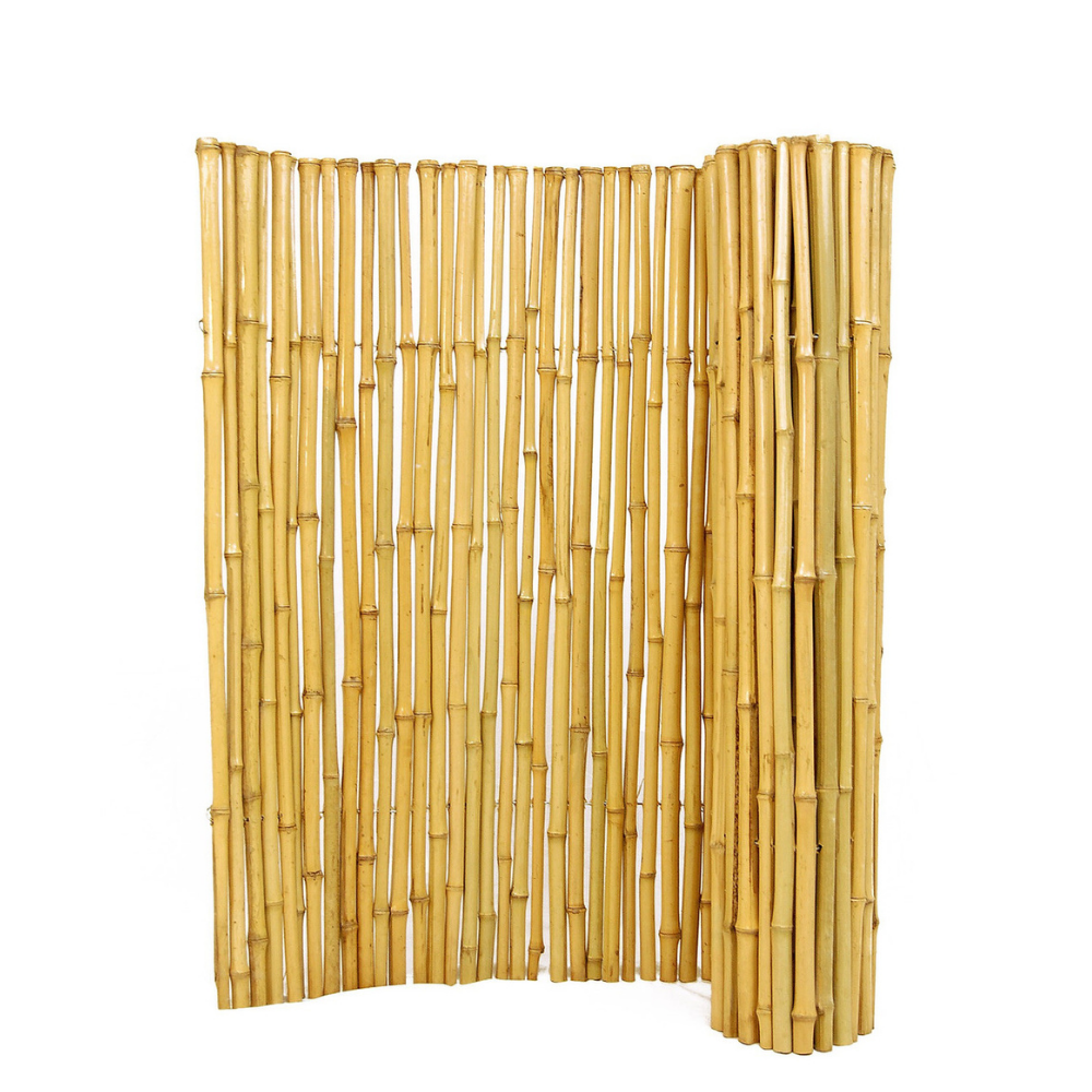 สีเหลืองธรรมชาติ