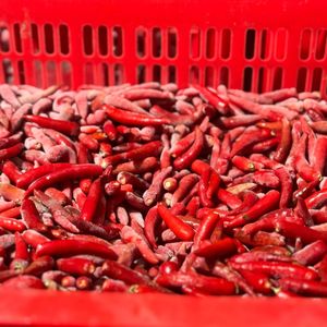 พริกแดงแช่แข็งระดับความร้อนสูงทั้งเม็ดจากเวียดนาม - Product Image 5