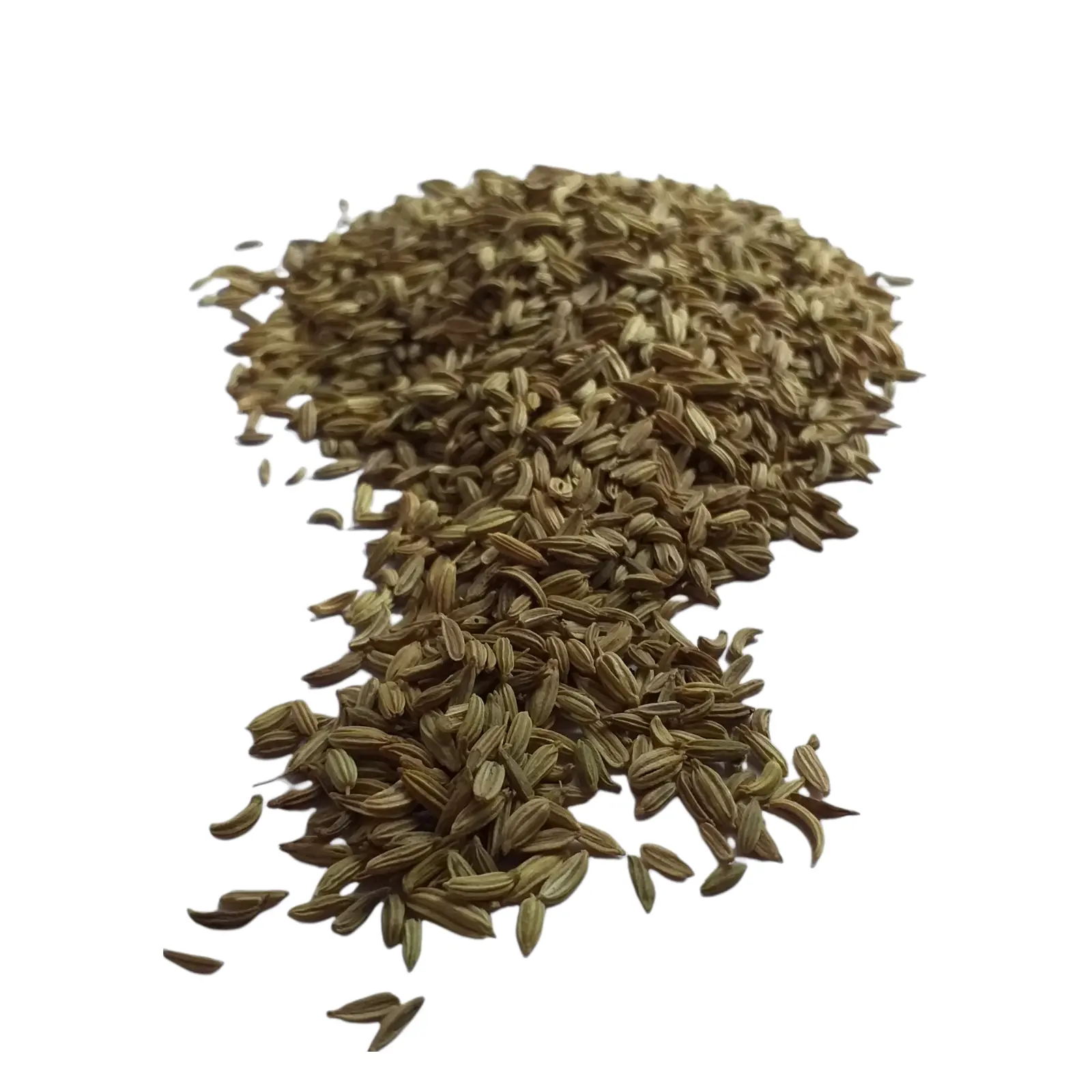 100% Pure Dried Fennel Seed Extract Powder Naturally Processed Greenish Colour Fennel Seeds Extract Powder For Cooking