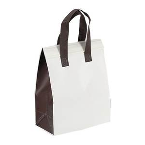 Logotipo personalizado de moda Cooler Tote Bag aislado mango reutilizable ecológico contenedor de alimentos con material no tejido - Product Image 1