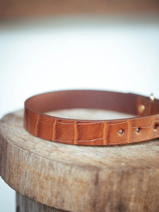 Collar de perro en relieve, 25mm, estampado Croc - Product Image 4