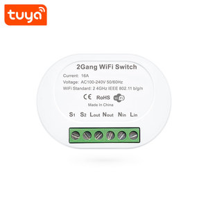 Tuya สวิตช์16A 2CH Wi-Fi อัจฉริยะอัจฉริยะพร้อมการควบคุมด้วยเสียงรองรับฟังก์ชั่นกำหนดเวลา PST-TMW02 - Product Image 6
