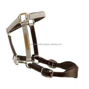 Halter de cuero anatómico con relleno súper suave y bordado Halter de cuero/Halter de caballo Producto ecuestre Caballo de brida - Product Image 1