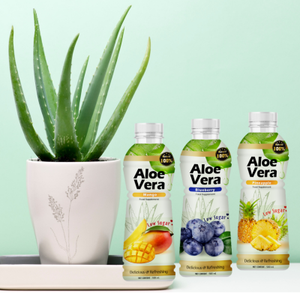 Jus d'Aloe Vera pur OEM du Vietnam bouteilles emballées de jus filtré de couleur aromatisé à prix abordable jus de fruits et légumes - Product Image 2